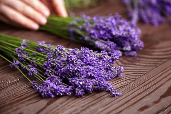 canva lavender flowers on wooden surface MAED95kw8SE