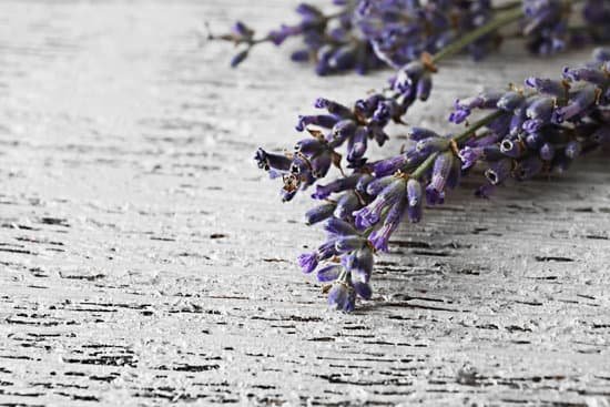 canva lavender flowers on wooden table closeup MAD Q4pYNgs