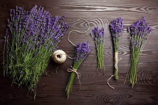 canva lavender flowers tied into bundles with yarn MAED90GsiYc