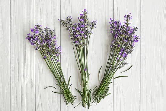 canva lavender on white wooden background MAD Qx Bn2M