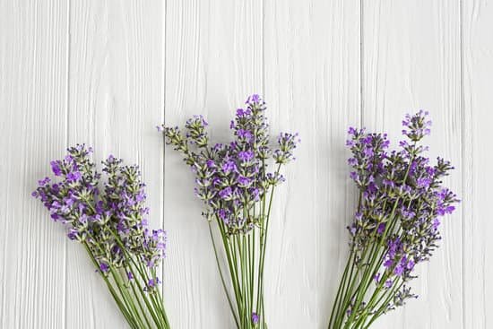 canva lavender on wooden background MAD Q3eK4hs