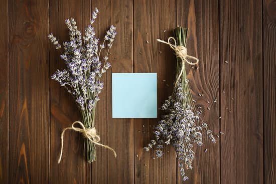 canva lavender with blank paper on wooden background MAD