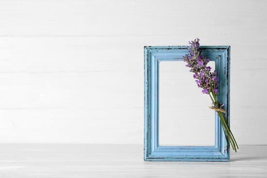canva lavender with frame on light background MAD Q DNrKw