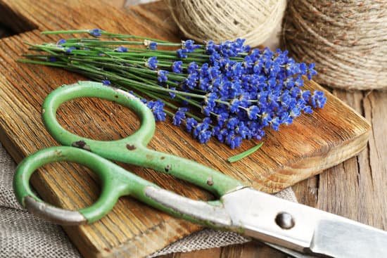 canva lavender with twine and scissors on wooden table MAD Maa0lqI