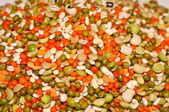 canva legumes lentils and beans MABVA0rUOH0