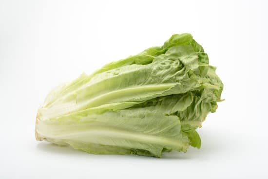 canva lettuce MAC aqVPTRw