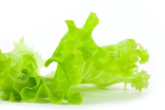 canva lettuce MAC6Efp2 iU