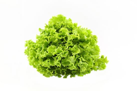 canva lettuce MAC9jSdOkjA