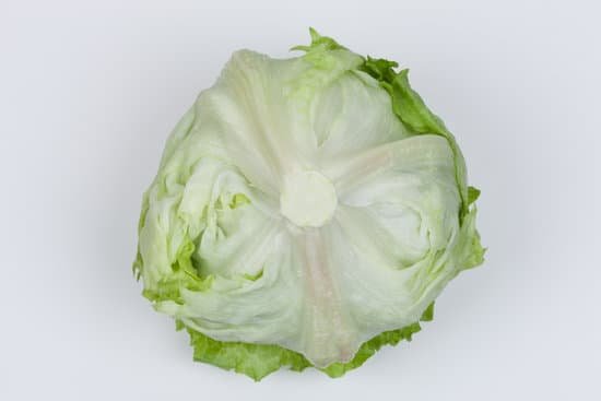 canva lettuce MADA1QlSBHw