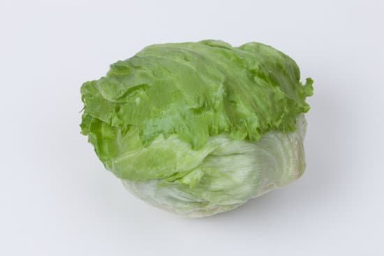 canva lettuce MADA1US6Tok