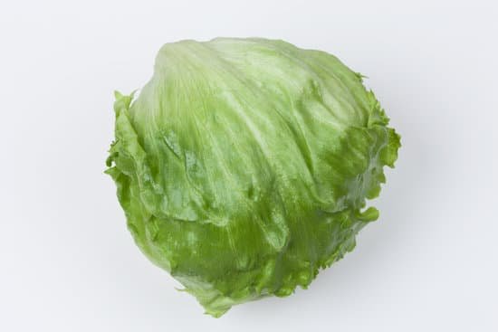 canva lettuce MADA1YwR0gY