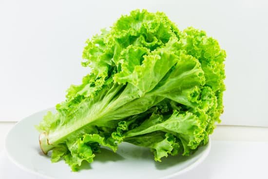 canva lettuce MADABeaeEp4