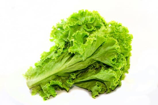 canva lettuce MADABqcTw6E