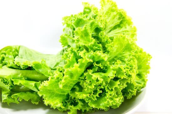 canva lettuce MADABr6MGvs