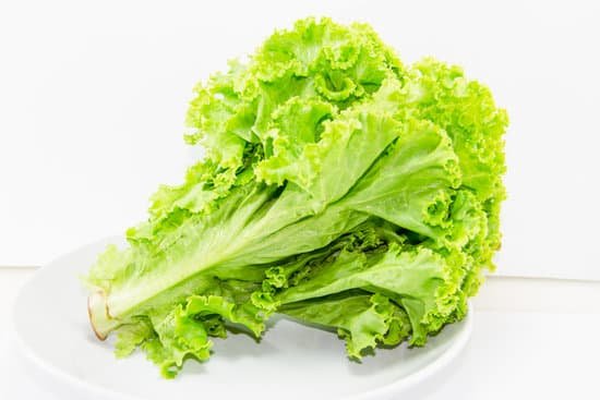 canva lettuce MADABvqzSJE