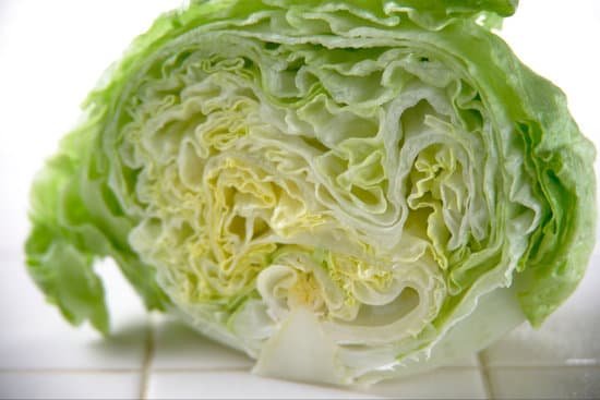 canva lettuce MADAD0kCNJk