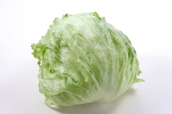 canva lettuce MADAD7N6KV4