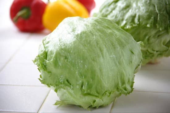 canva lettuce MADADzH8aMw