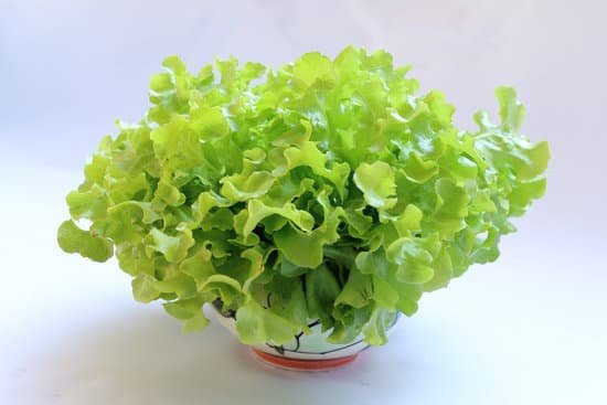 canva lettuce MADAFXg4phQ