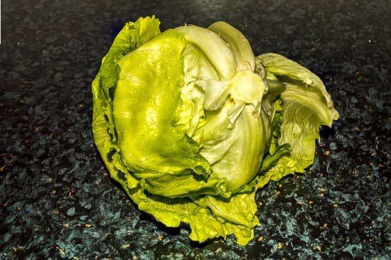 canva lettuce