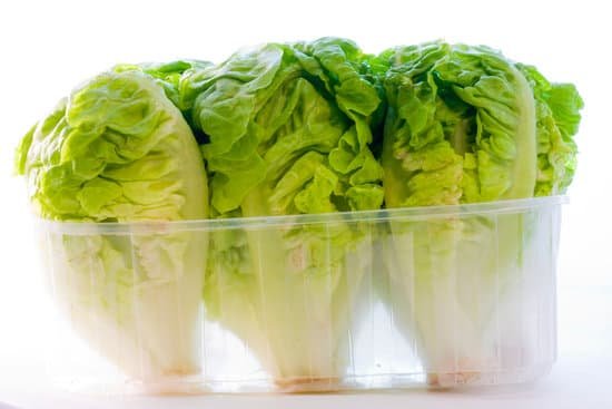 canva lettuce MADAYHVW5oM