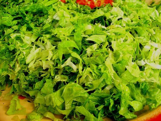 canva lettuce MADAagFR2VM