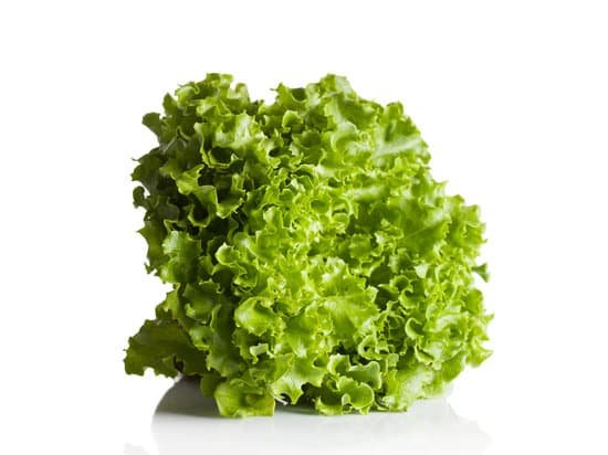canva lettuce MADAne Nj9w
