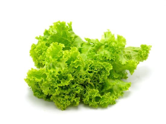 canva lettuce MADB0v1Uf1s