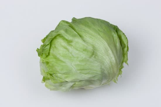 canva lettuce MADBdcnakR0