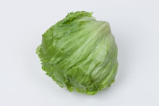 canva lettuce MADBdcwjgfA