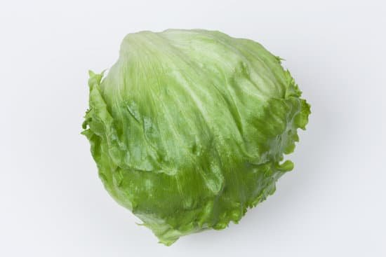 canva lettuce MADBdePR1pM