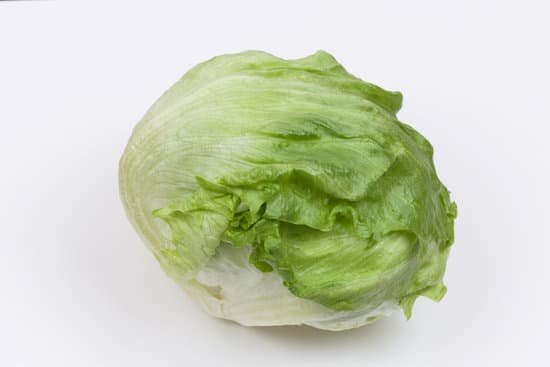 canva lettuce MADBdezT6pQ