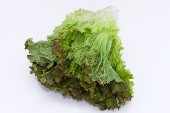 canva lettuce MADBepLAyTQ