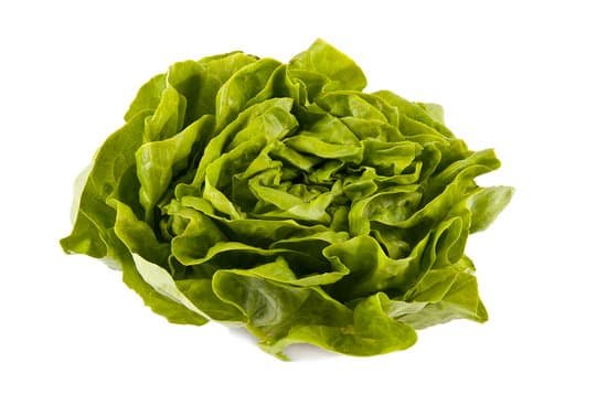 canva lettuce MADBzkq04vk