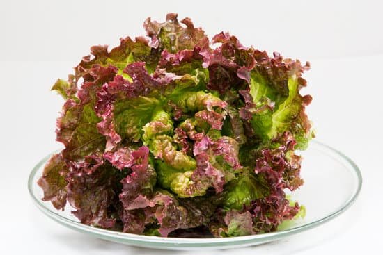 canva lettuce MADCTwgulCI