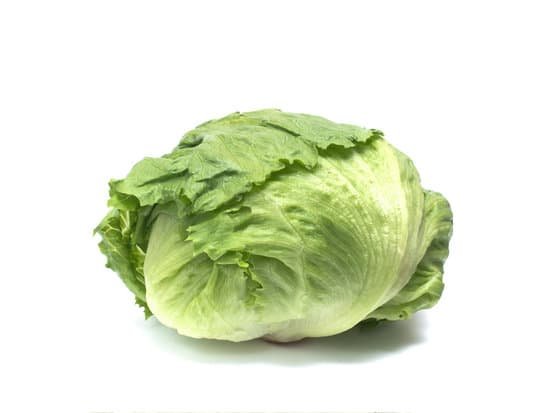 canva lettuce MADQkUFe9uo