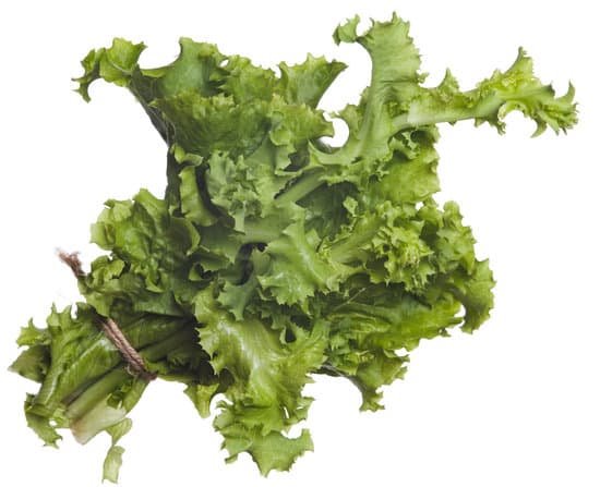 canva lettuce MAEEr7tDNAM