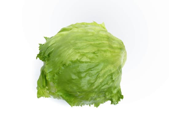 canva lettuce MAEUz5lHUeo