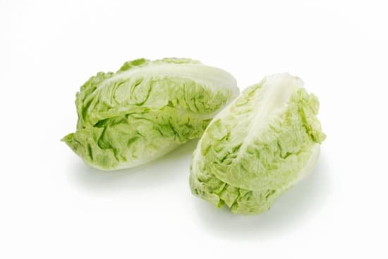 canva lettuce hearts MADAMRTVUcw