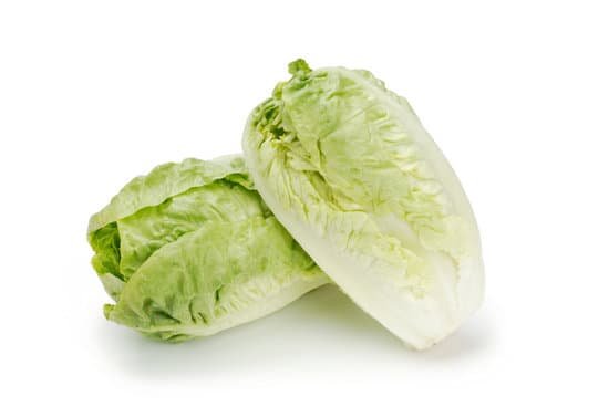 canva lettuce hearts MADAOJQrf8Y