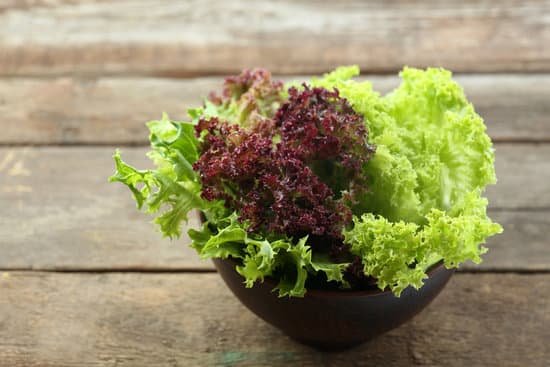 canva lettuce in a bowl MAD MYgJc 8