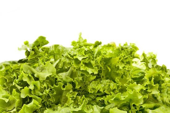 canva lettuce leaves MADBT w1vmc