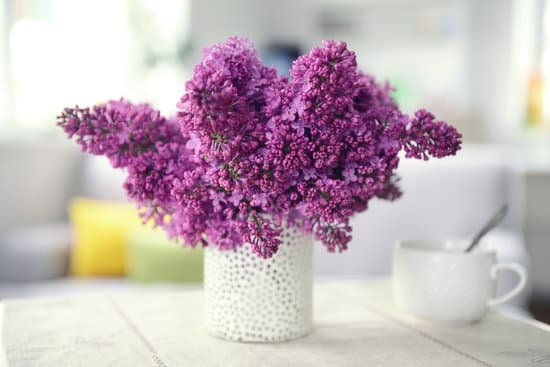 canva lilac bouquet in ceramic jar on white table MAD QocU0AE