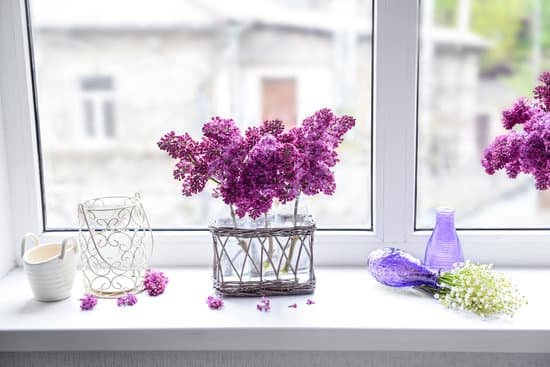 canva lilac bouquets in glass jars and may lilies on windowsill MAD QhNCsRQ