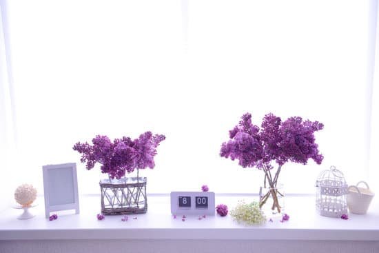 canva lilac bouquets in glass jars on windowsill MAD QmBVMv4