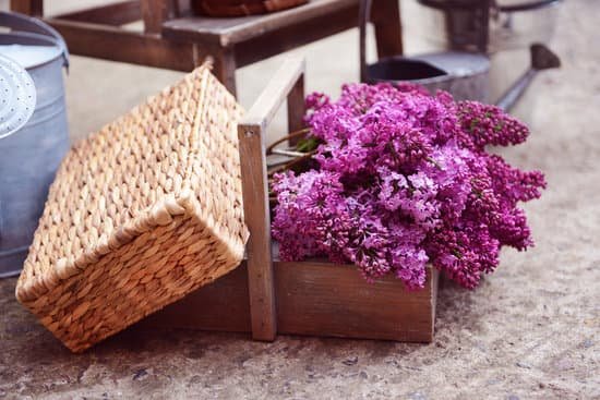 canva lilac bouquets in wooden crate MAD Qndmtow