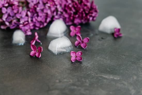 canva lilac flowers with ice on gray cement table MAD V22J9pM