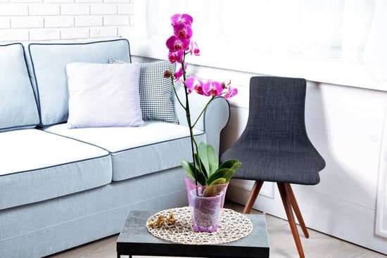 canva lilac orchid in the living room MAD MR0520w