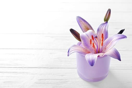 canva lily in a pot on light wooden background MAD Q3VAimo