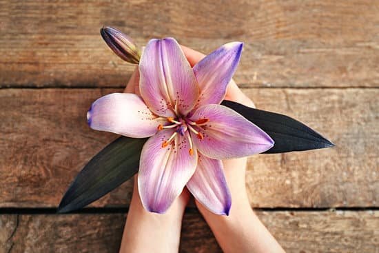 canva lily on wooden background MAD Q0e8utU